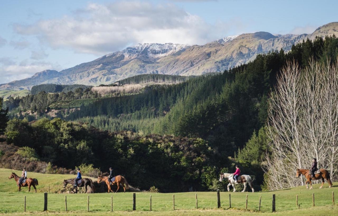 Mohaka River Farm Te Haroto Dış mekan fotoğraf