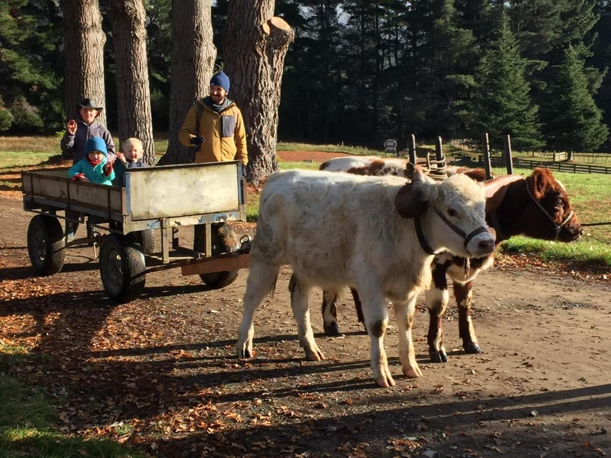 Mohaka River Farm Te Haroto Dış mekan fotoğraf