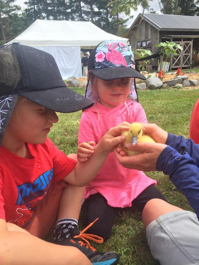 Mohaka River Farm Te Haroto Dış mekan fotoğraf