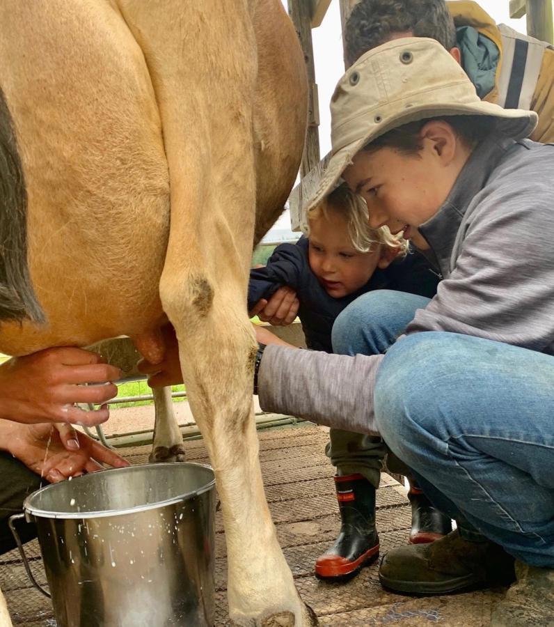 Mohaka River Farm Te Haroto Dış mekan fotoğraf