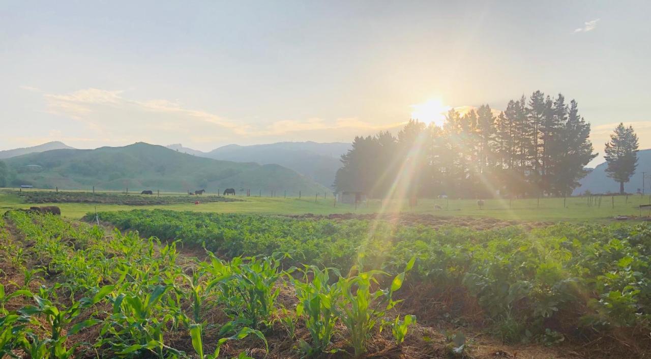 Mohaka River Farm Te Haroto Dış mekan fotoğraf